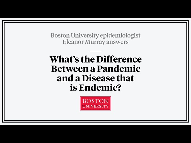 What is an "Endemic" Disease? An Epidemiologist Explains
