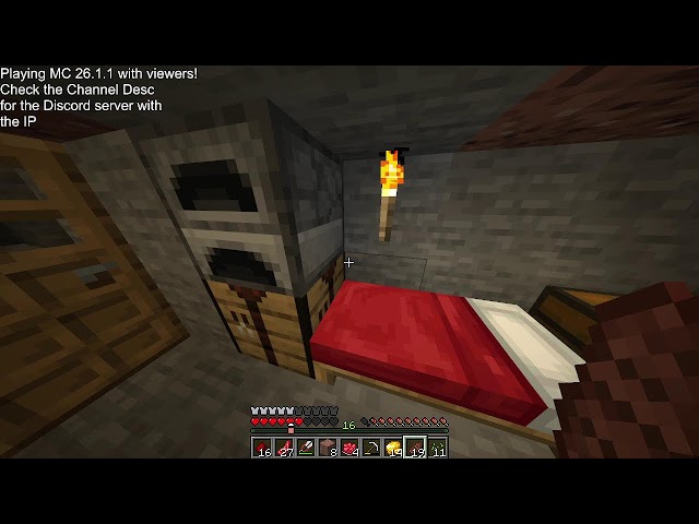 MC Java 26.1.1 with friends and viewers