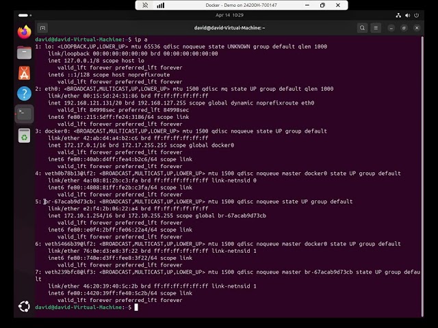 Using a custom Docker network