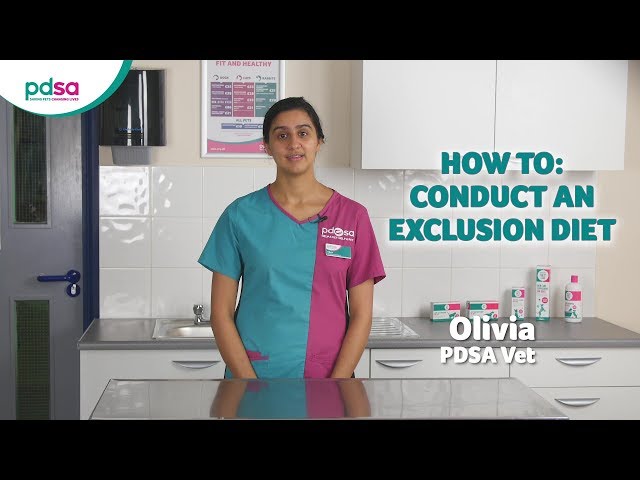 How To Conduct An Exclusion Diet: PDSA Petwise Pet Health Hub