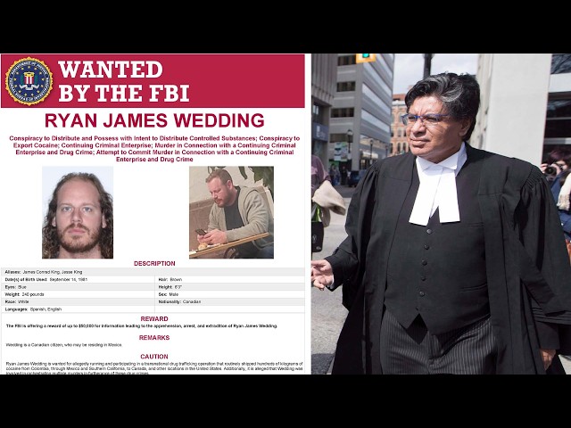 What happened at the court hearing for Ryan Wedding's Lawyer