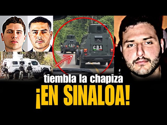 20 "MONSTERS" from the mafia enter to FIGHT the CHAPITOS for control of the territory in #Sinaloa