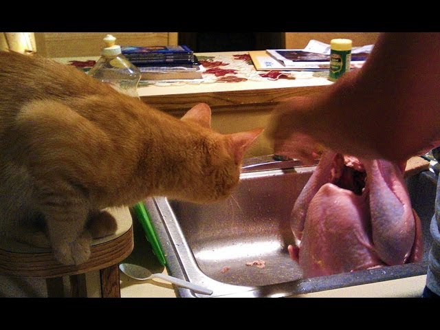Boo Wants Turkey (Silly Boo)