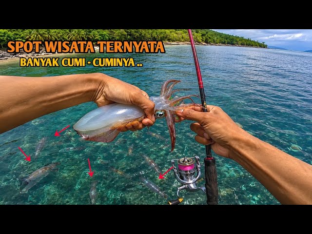 TURNS OUT THERE ARE PLENTY OF SQUID AT THIS TOURIST SPOT, SHORE FISHING FOR SQUID