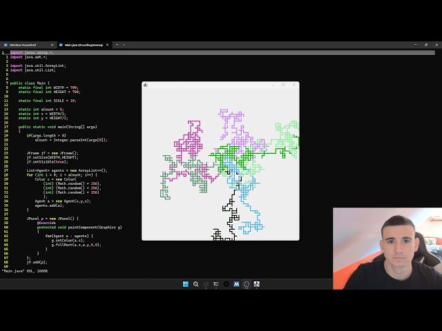 Coding RandomWalk from Scratch | JAVA