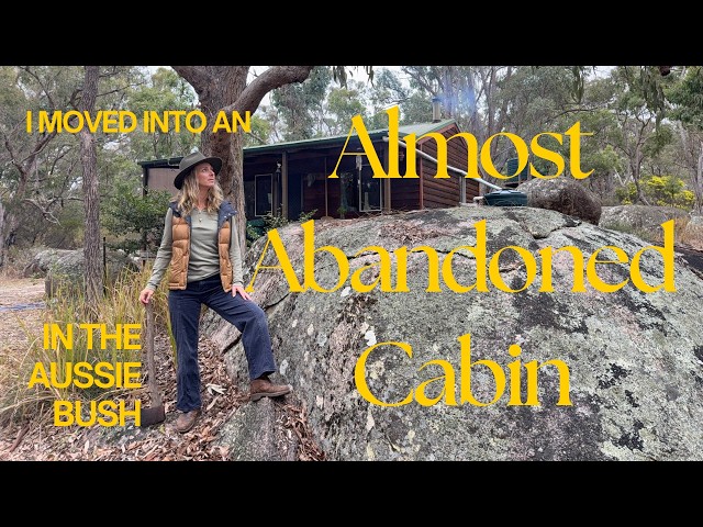 I Moved into an Almost Abandoned Cabin in the Bush | Creating an Artist Residency