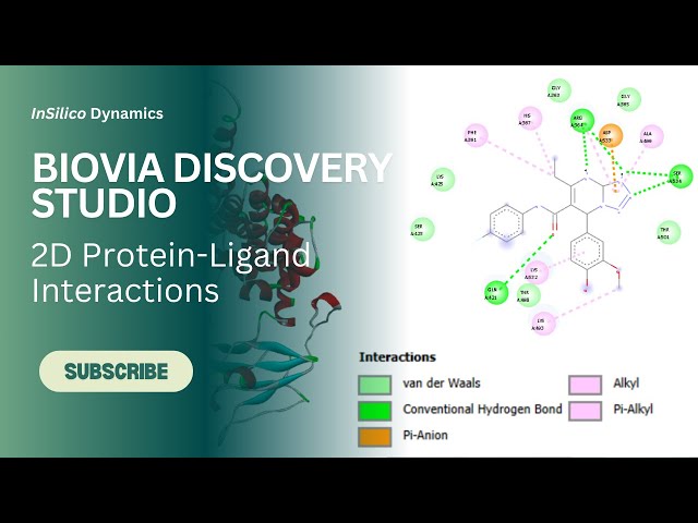 Protein Ligand Interaction 2D figure in Discovery Studio Visualizer tutorial