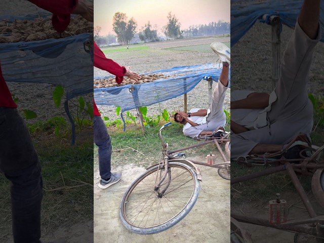 Omg! wait for end! #thoughtsofbillal #funny