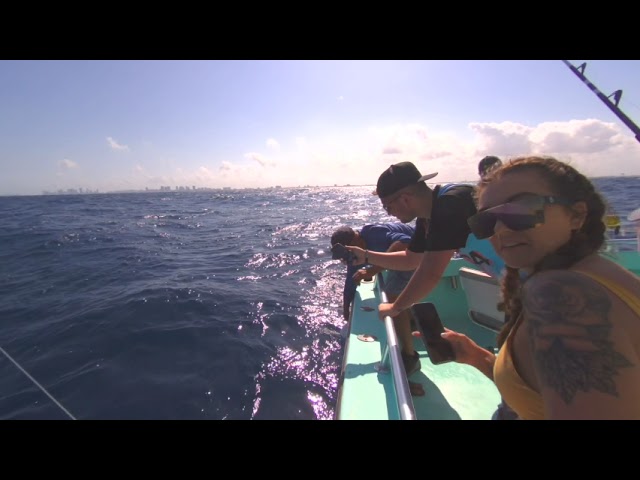 V1000625 VR Fishing. WE CAUGHT A SHARK!!!
