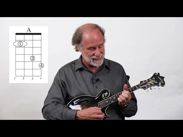 Dix Bruce: The Magic Mandolin Shape