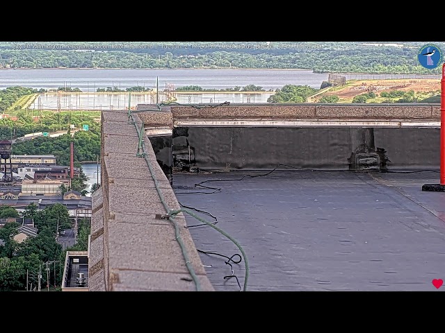 Wilmington Delaware - Peregrine Falcon Roof North