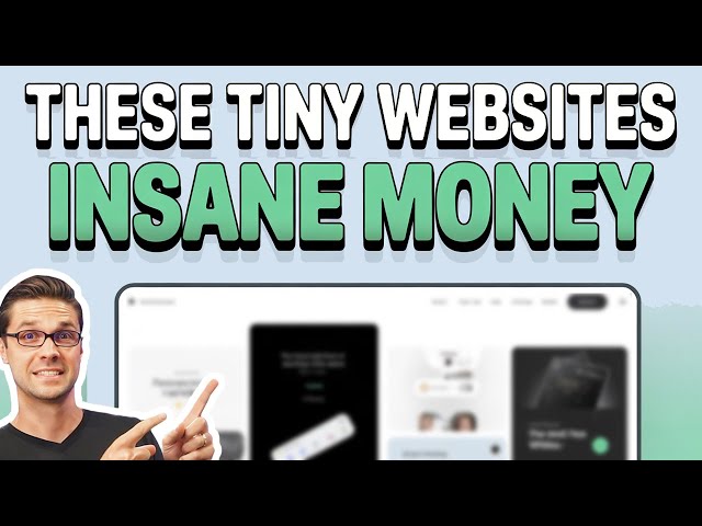 How these "Tiny" Websites Make $13,721/Month!