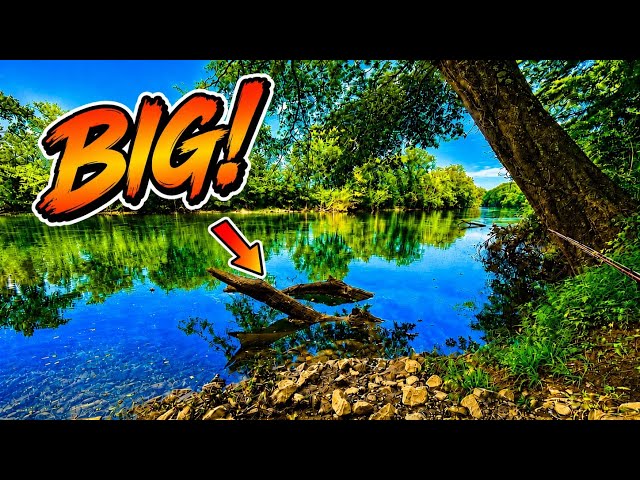Ultralight river fishing - I lost something big
