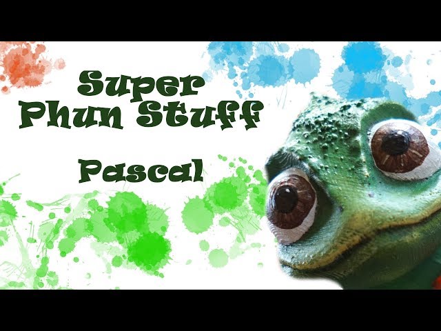 Making Pascal for My Daughter's Birthday