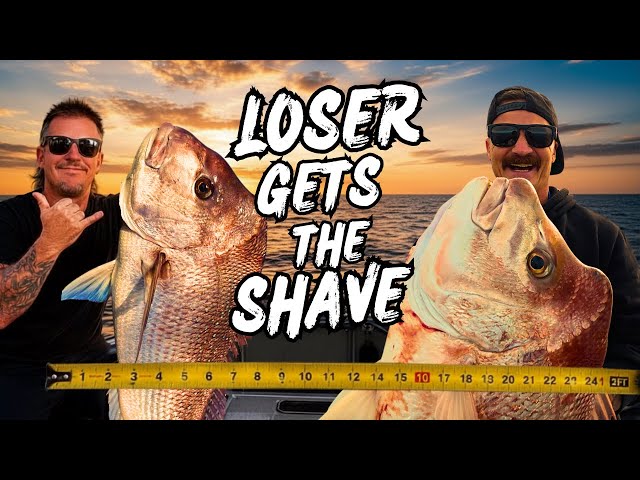 THE LOSER GETS THE SHAVE 😳 | Snapper Fishing Moreton Bay