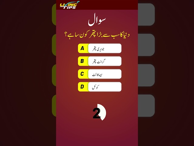 Quick Knowledge Boost Top 3 Must Know Questions!