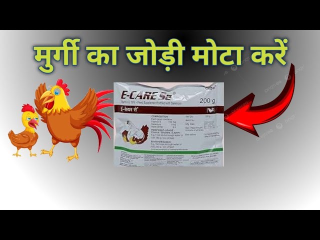 e care se use in poultry|vitmin c, selenium