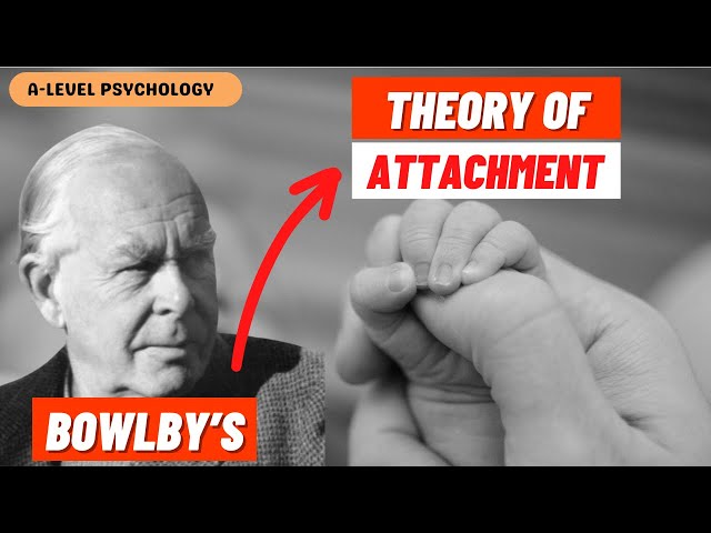 How do we FORM ATTACHMENTS? | Bowlby's Monotropic Theory of Attachment