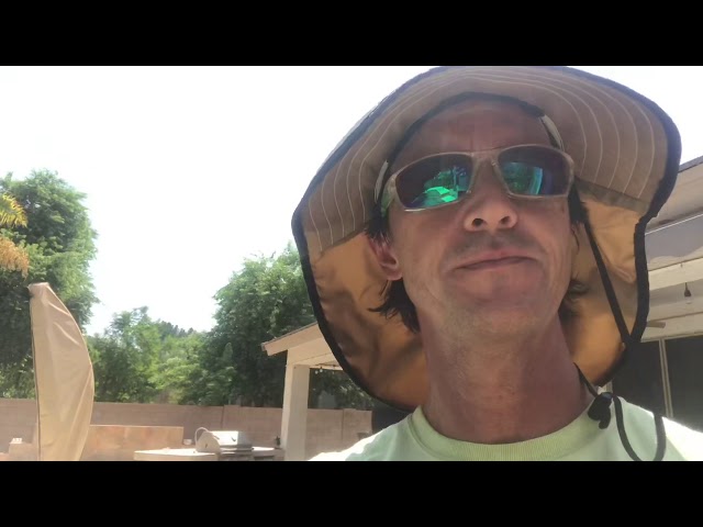 Weekly Pool Maintenance