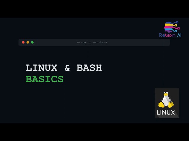 Linux & Bash Basics