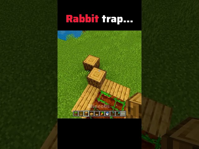 Minecraft rabbit trap