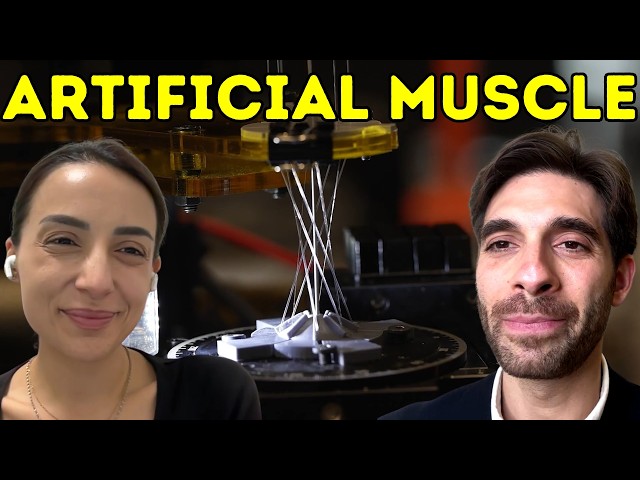 🚨 MIT’s Artificial Muscle Breakthrough