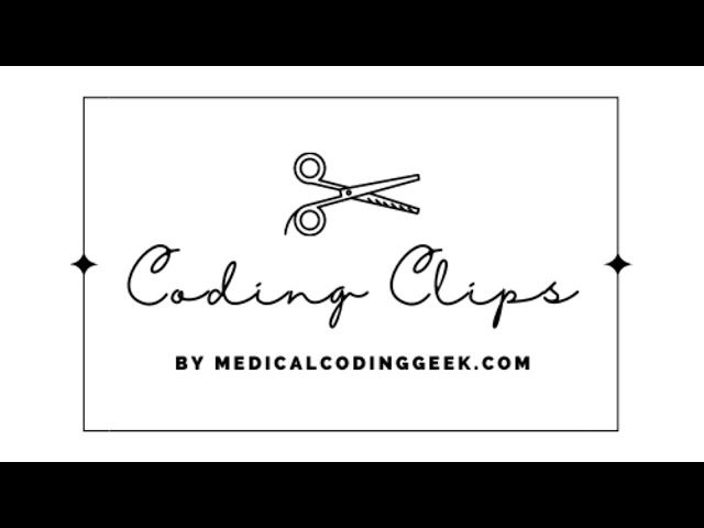Coding Clips: First Episode