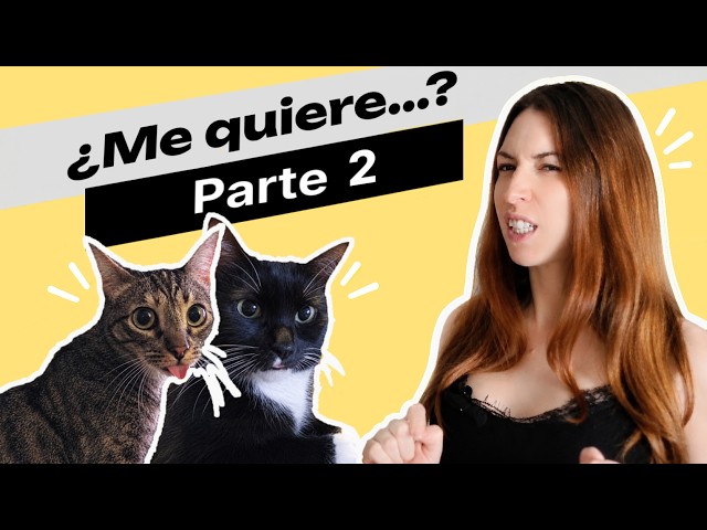 Análisis de sentimiento con Python: tu primer proyecto de NLP (¡parte 2!)