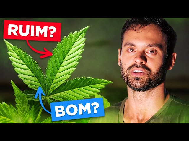 We need to talk about marijuana.