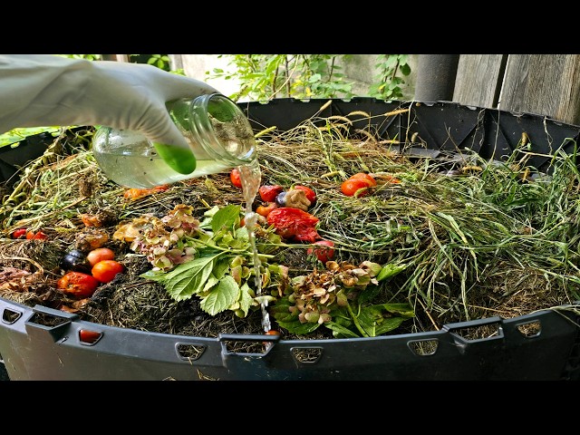COMPOST IN 1 SEASON: Major Mistakes and a Secret Recipe!