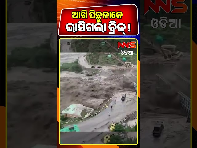 ଭୟଙ୍କର ବନ୍ୟାରେ ଭାସିଗଲା ବ୍ରିଜ୍! | Flood | Weather News | Odisha Rain | NNS Odia
