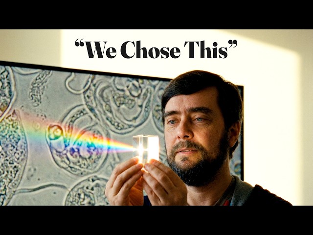 Why Bubble Sort Proves We Don't Understand Machines