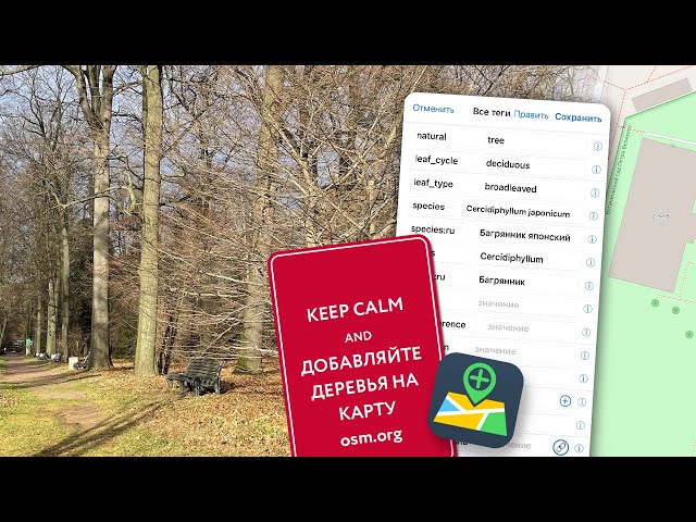 Добавление информации о деревьях на карту OpenStreetMap через приложение Go Map!! (iOS)