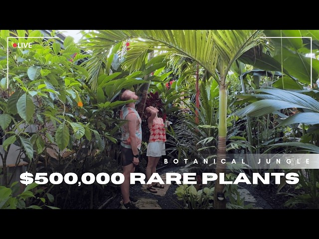 Exclusive Access Inside Florida's Most Exotic Private Jungle Garden