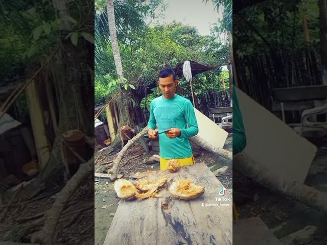 Cuando el machete no corta😱😬,,,❤️❤️Sigueme🙏#humor #comedia #risas