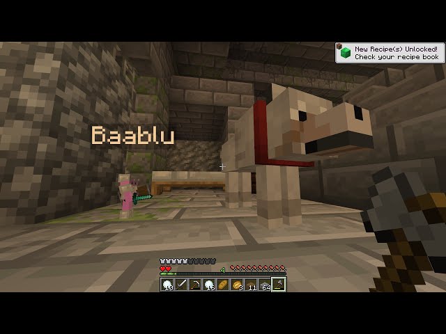 Beating Minecraft with 0.1 Size With Baablu