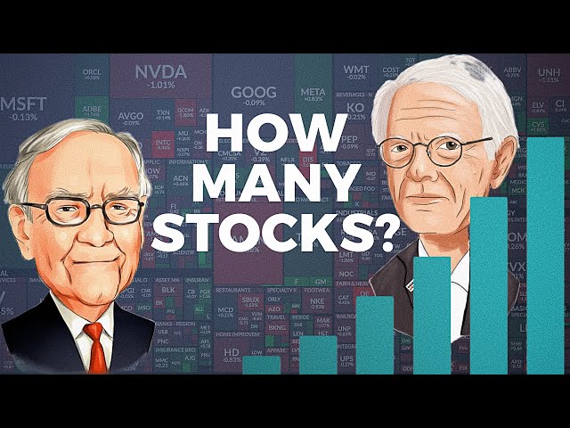 How Many Stocks Should You Own in your Portfolio?