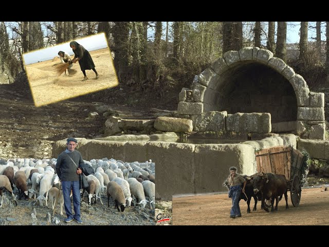 Aliste, tierra de yuntas y acarreos, Zamora, España