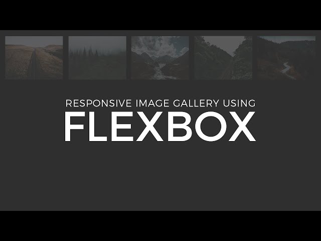 Responsive Image Gallery Using Flexbox | HTML & CSS