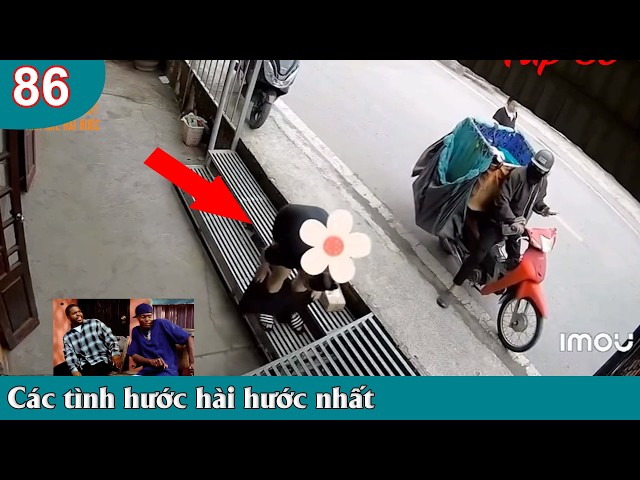 Top Comment - Những Thằng Ngu Nhất Hành Tinh Cười Vỡ Bụng 2026