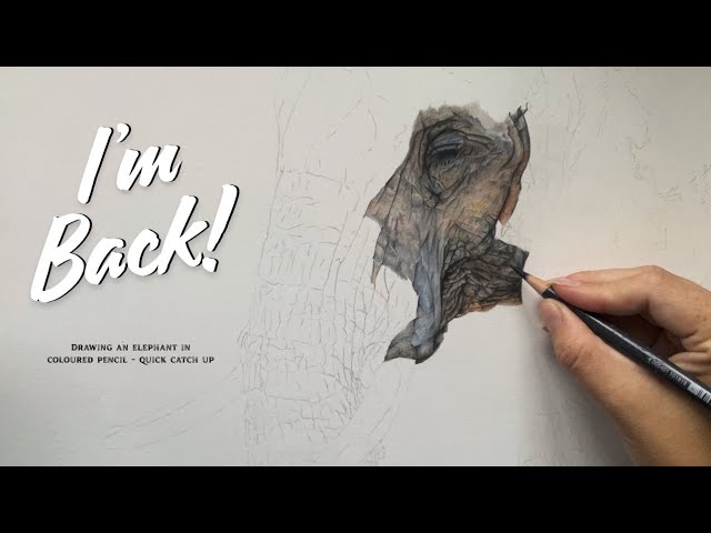 Drawing again after a break - Let's chat whilst I draw an Elephant!