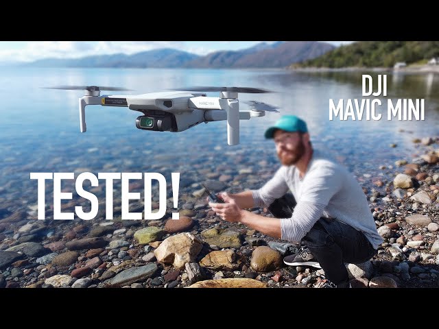 DJI MAVIC MINI - BEST Drone for the PRICE! (2.7K Footage)