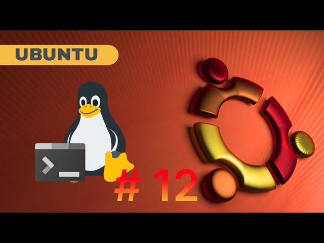 Linux Terminal for Beginners - The Complete Starter Guide Episode 12
