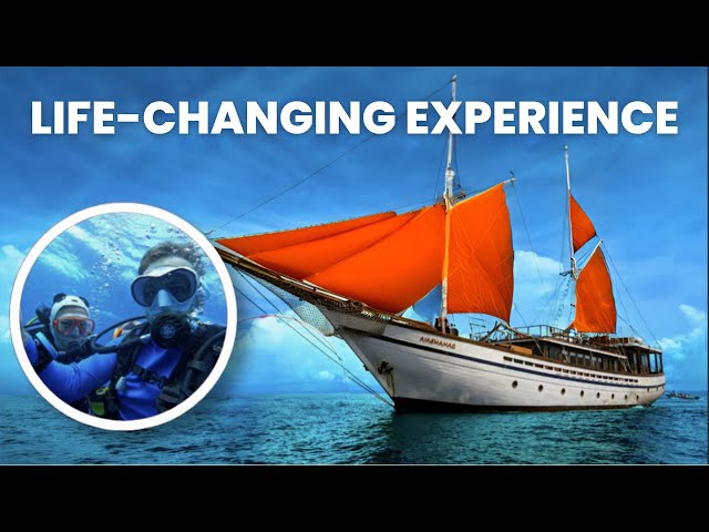 The Ultimate Beginner's Guide to Liveaboard Diving