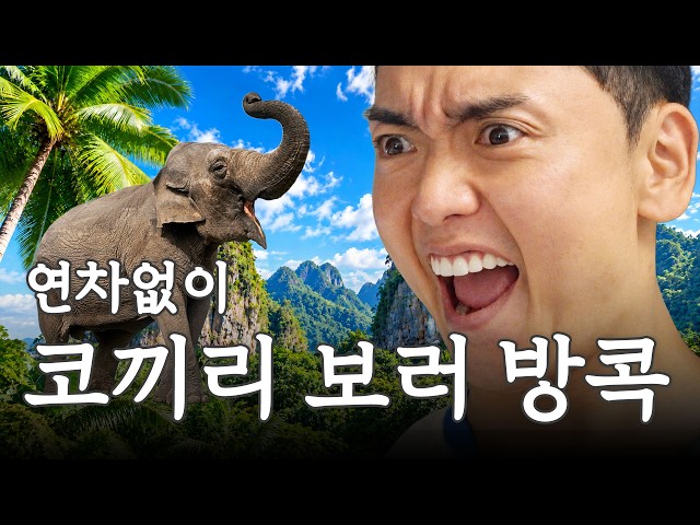 연차없이 코끼리랑 물놀이하는 태국 방콕 여행 2일차 I 곽범 I 연차없이 어떡행2 EP.8