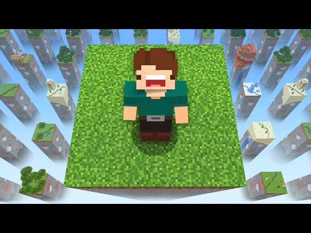 Minecraft, But The World Forgets Itself...
