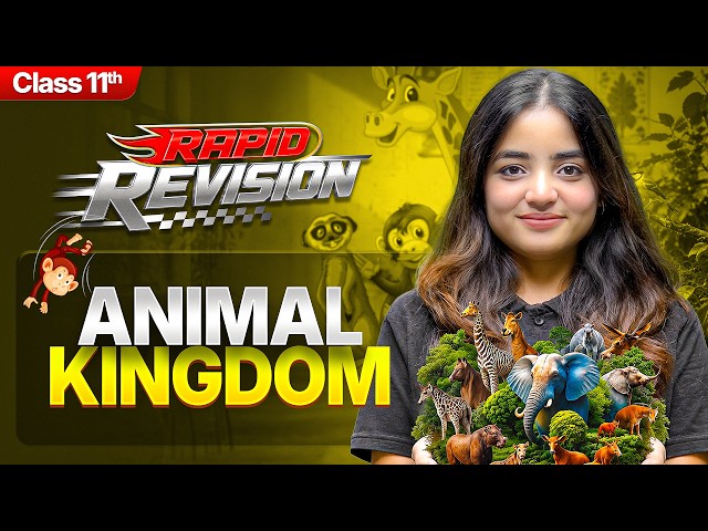 Animal Kingdom in 22 min | Class 11 Biology - Chapter 4 RAPID REVISION | CBSE 2026-27