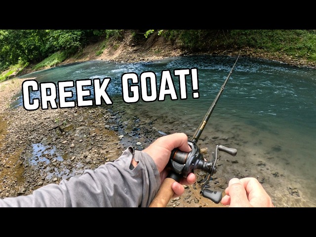 Everyone Sleeps on This BFS Lure (It's Not JUST Smaller)