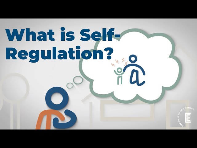 What is Self Regulation?
