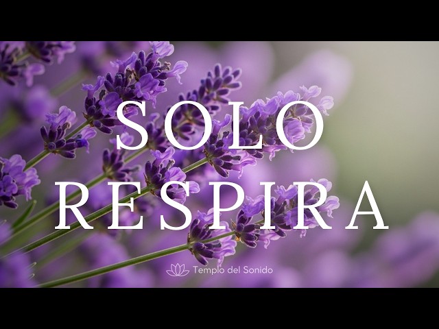 Solo Respira 💜 Paz Interior 🌸 Música Relajante para Sanar el Sistema Nervioso y Aliviar la Ansiedad